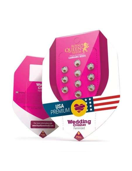Royal Queen Seeds - Wedding Crasher - 2