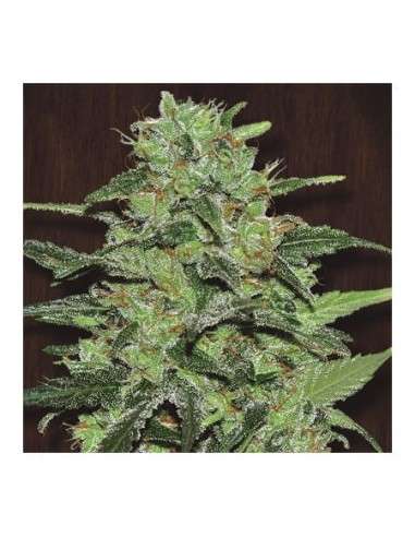 FASTBUDS - Strawberry Banana Auto - 1