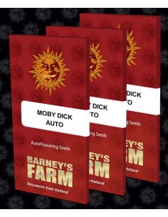 BARNEY'S FARM - Moby Dick Auto - 1 2