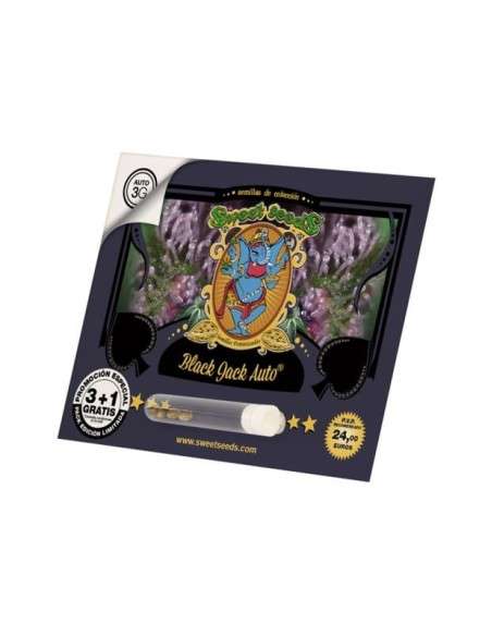 SWEET SEEDS - Black Jack Auto - 2