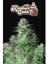 FastBuds - Kosher Cake Auto - 1