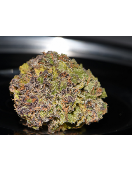 FastBuds - Smoothie Auto - 1