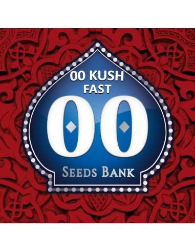00 SEEDS BANK - 00 Kush Fast - 1