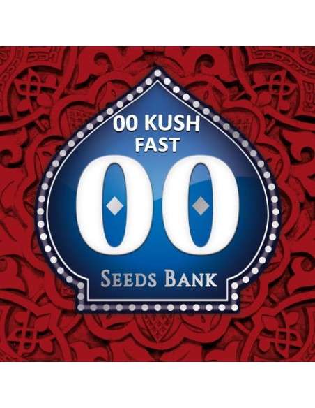 00 SEEDS BANK - 00 Kush Fast - 1