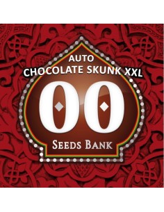 00 SEEDS BANK - Auto Chocolate Skunk XXL - 1