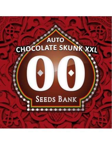 00 SEEDS BANK - Auto Chocolate Skunk XXL - 1