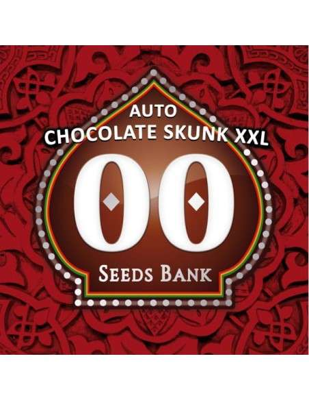 00 SEEDS BANK - Auto Chocolate Skunk XXL - 1