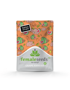 Female Seeds - Grape Amnesia - 1 2