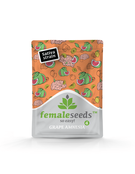 Female Seeds - Grape Amnesia - 2