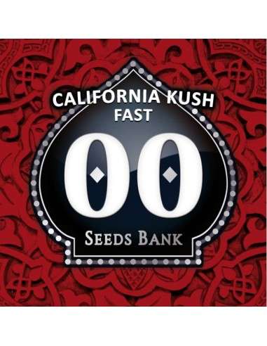 00 SEEDS BANK - California Kush Fast - 1
