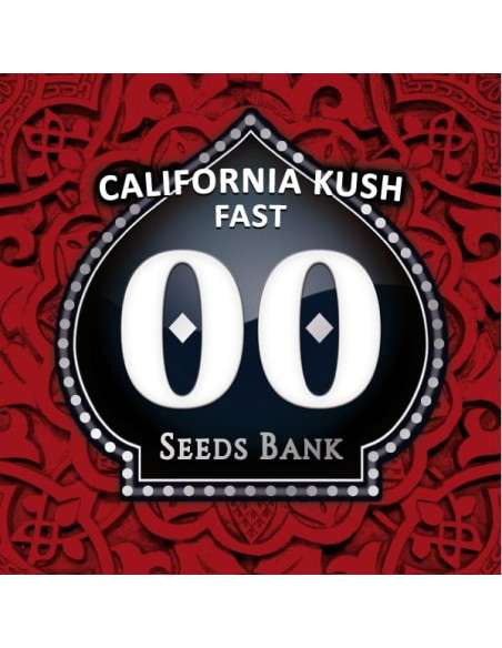 00 SEEDS BANK - California Kush Fast - 1