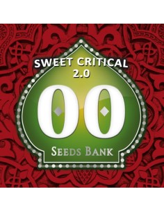 00 SEEDS BANK - Sweet Critical 2.0 - 1