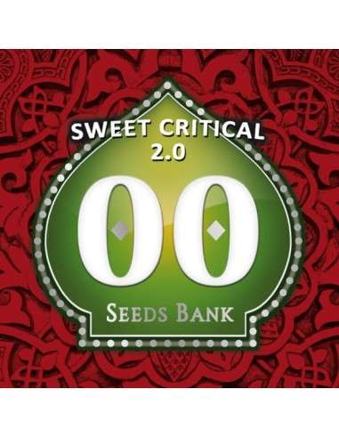 00 SEEDS BANK - Sweet Critical 2.0 - 1