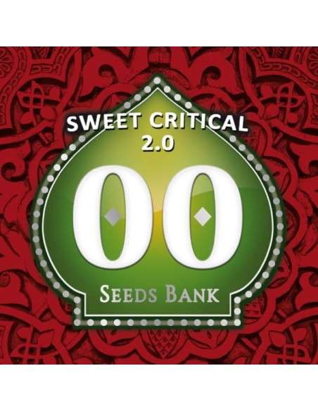 00 SEEDS BANK - Sweet Critical 2.0 - 1