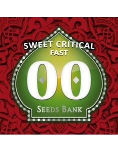 00 SEEDS BANK - Sweet Critical Fast - 1