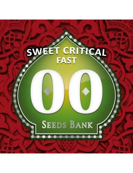 00 SEEDS BANK - Sweet Critical Fast - 1