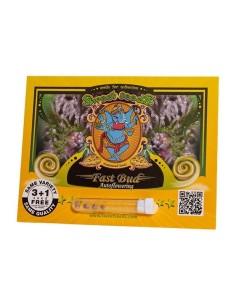 SWEET SEEDS - Fast Bud 2 - 1