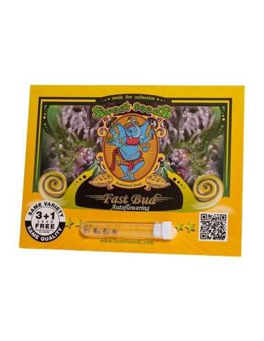 SWEET SEEDS - Fast Bud 2 - 1