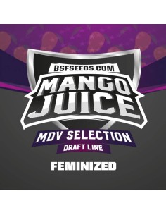 BSF Seeds - Mango Juice - 1 2