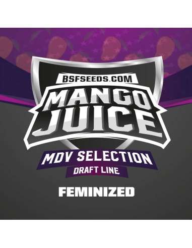 BSF Seeds - Mango Juice - 2