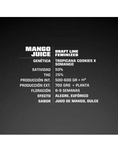 BSF Seeds - Mango Juice - 3