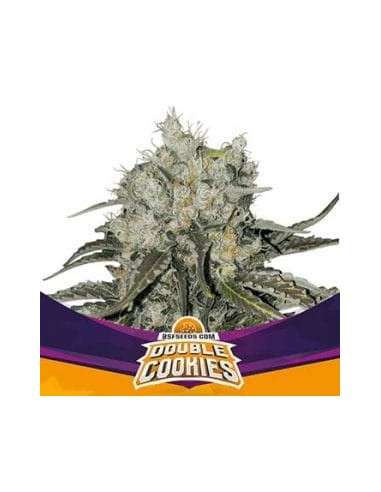 BSF Seeds - Double Cookies - 1