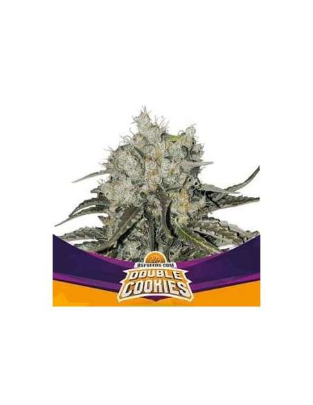 BSF Seeds - Double Cookies - 1