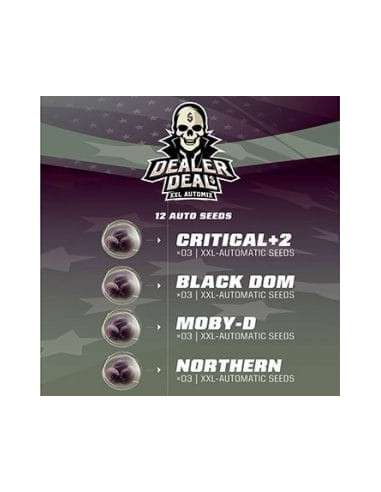 BSF Seeds - Dealer Deal XXL Automix - 1