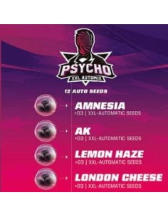 BSF Seeds- Psycho XXL Automix - 1