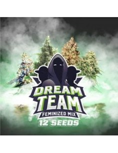 BSF Seeds - Dream Team Feminized Mix - 1