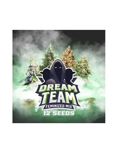 BSF Seeds - Dream Team Feminized Mix - 1