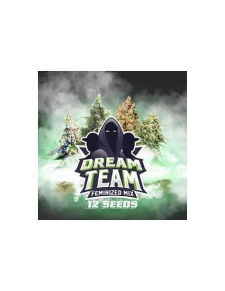 BSF Seeds - Dream Team Feminized Mix - 1