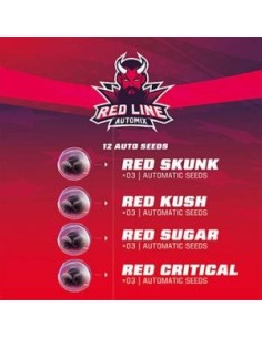 BSF Seeds - Red Line Automix - 1