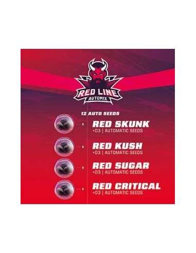 BSF Seeds - Red Line Automix - 1