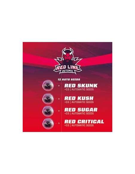 BSF Seeds - Red Line Automix - 1
