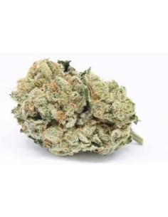 Zkittlez OG - 1