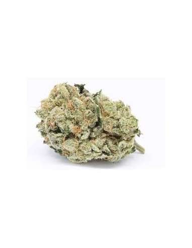 Zkittlez OG - 1