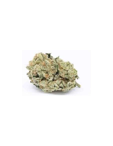 Zkittlez OG - 1