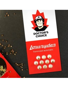 Doctor's Choice - Lowryder Auto - 1 2
