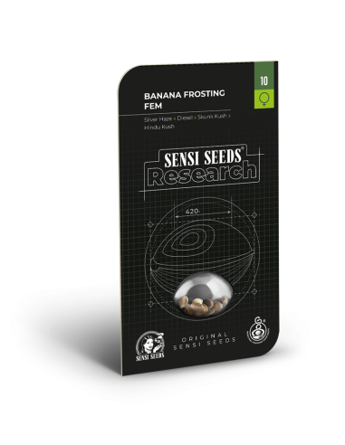 Sensi Seeds - Banana Frosting - 2