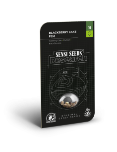 Sensi Seeds - Blackberry Cake - 1 2