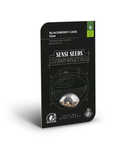 Sensi Seeds - Blackberry Cake - 2