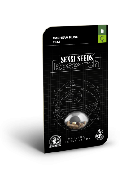 Sensi Seeds - Cashew Kush - 2