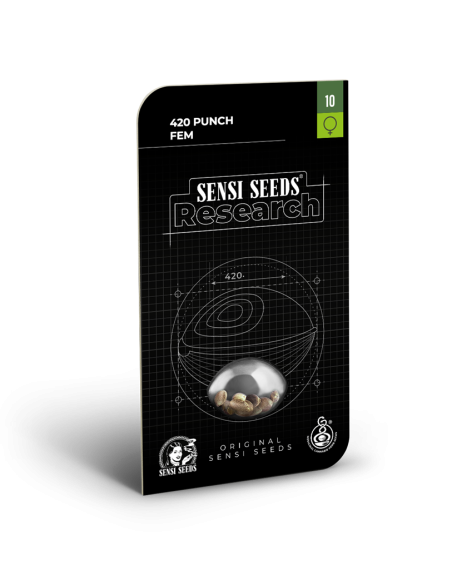 Sensi Seeds - 420 Punch - 2