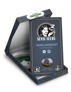Sensi Seeds - Sensi Amnesia Auto - 1 2