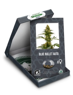 Sensi Seeds - Blue Bullet Auto - 1 2