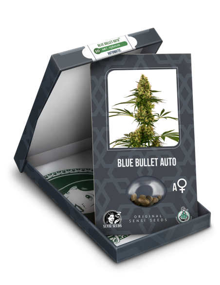 Sensi Seeds - Blue Bullet Auto - 2