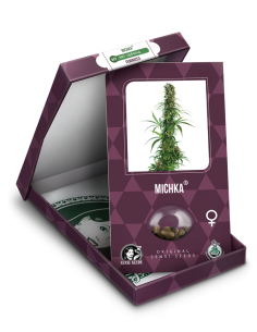 Sensi Seeds - Michka - 1 2