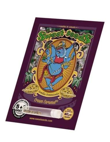SWEET SEEDS - Cream Caramel - 4
