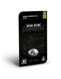 SENSI SEEDS - Sensi Amnesia XXL - 1 2